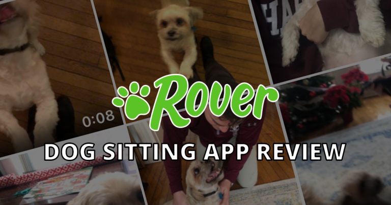 My experience with Rover, the dog sitting app (review + discount)