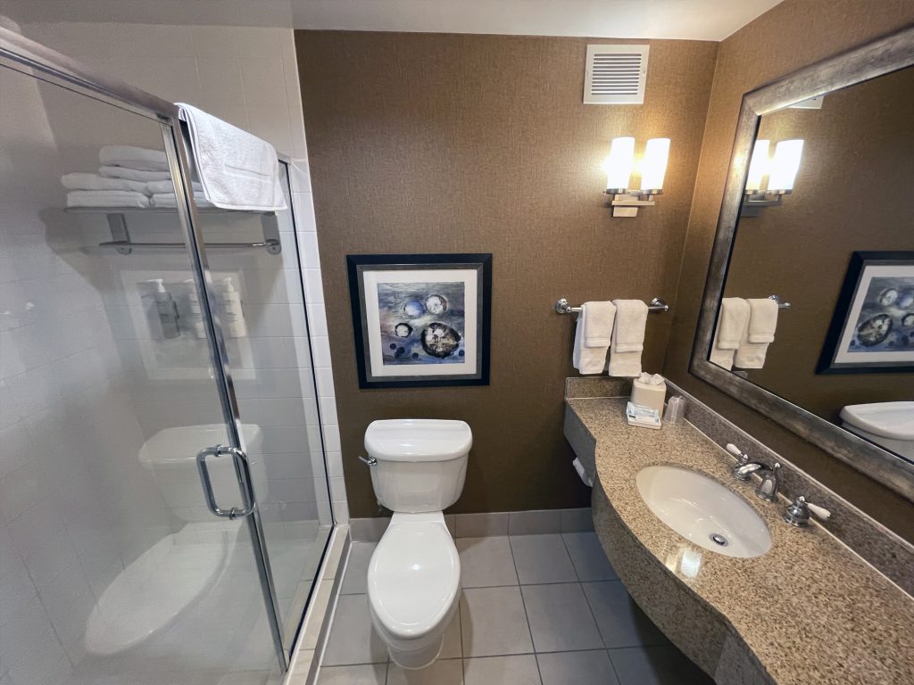 Bathroom in a room at Hilton Garden Inn Pearland