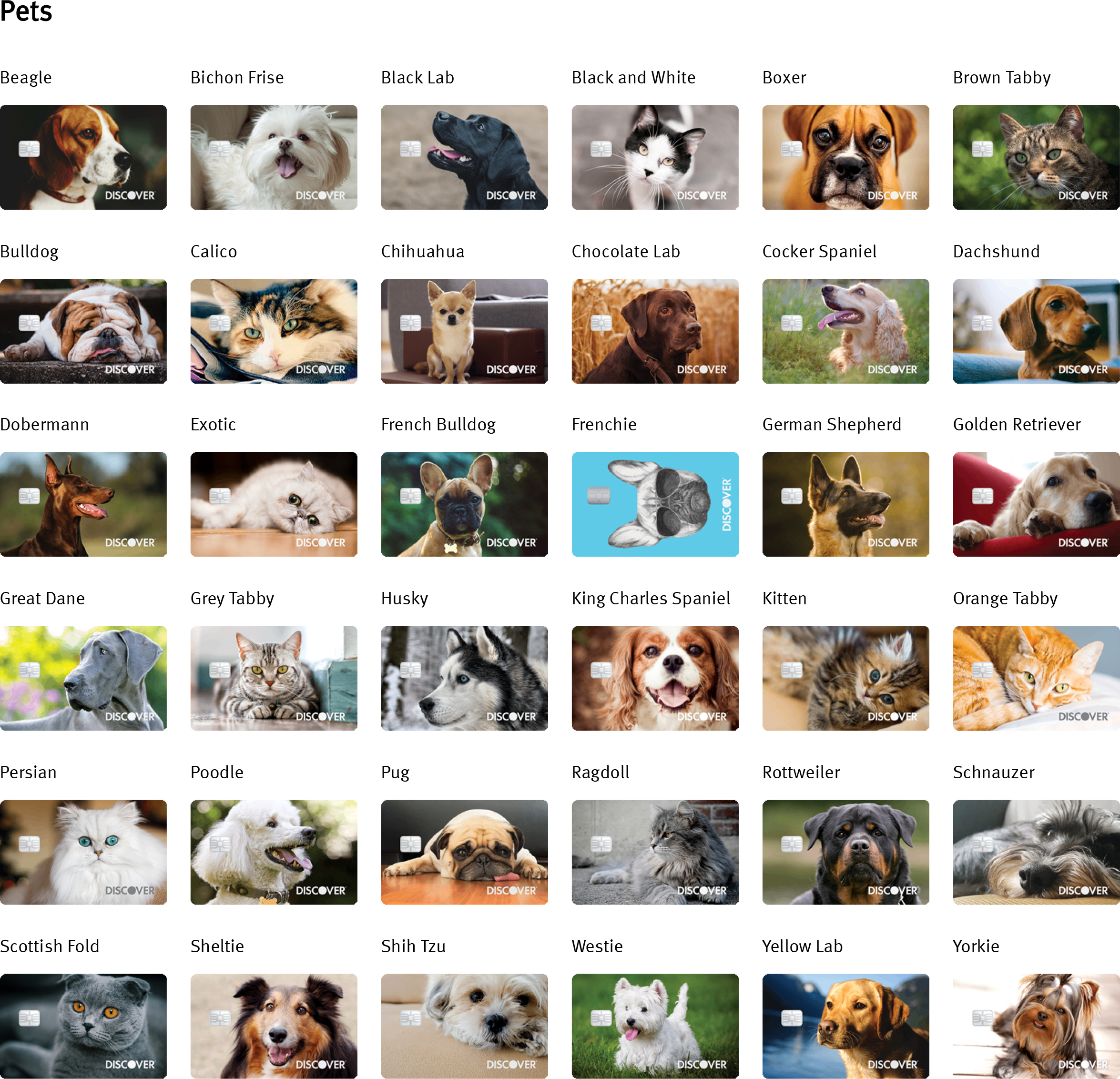 Pet credit card designs at Discover